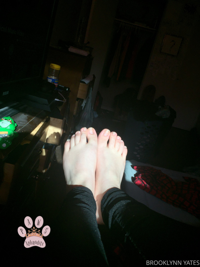 Photo by aphroditepaws published on November 24,2023 02:58:31 - BestThots