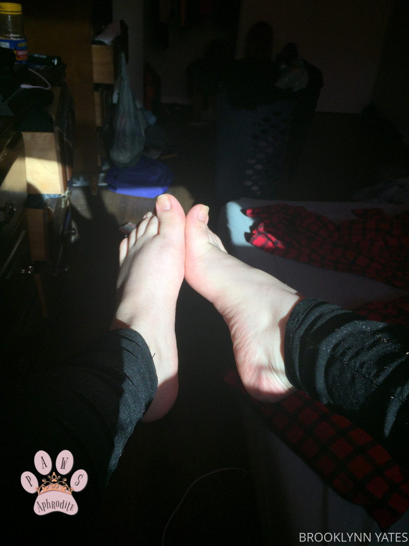 Photo by aphroditepaws published on November 24,2023 02:59:27 - BestThots