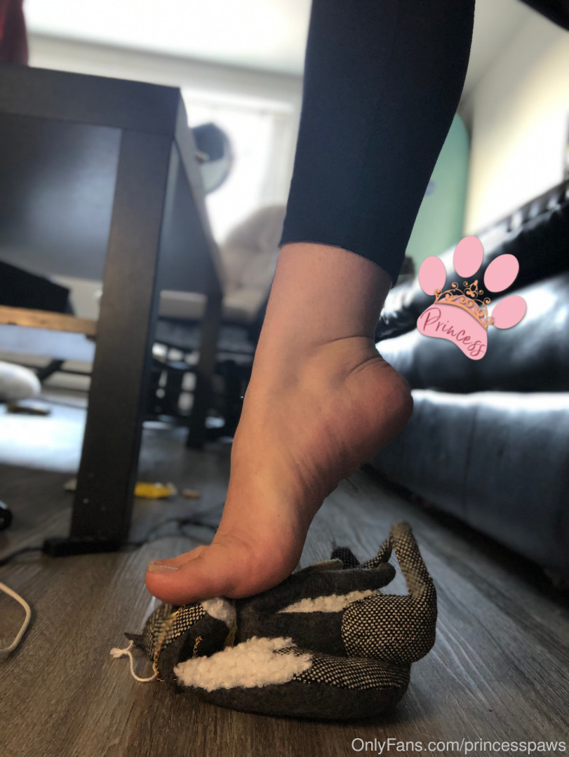 Photo by aphroditepaws published on November 24,2023 03:00:38 - BestThots