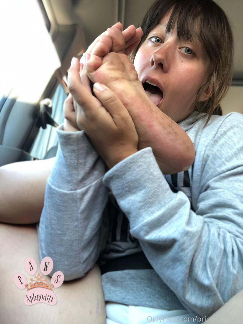 Photo by aphroditepaws published on November 24,2023 03:03:31 - BestThots