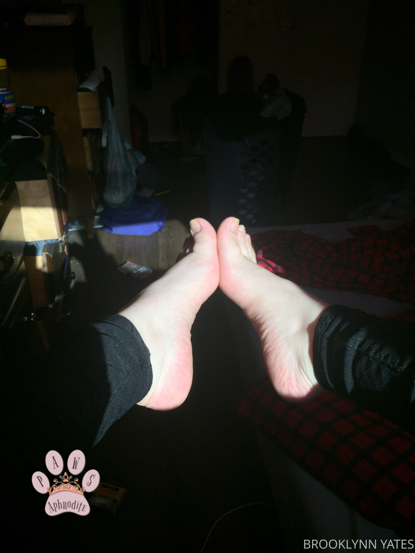 Photo by aphroditepaws published on November 24,2023 03:03:58 - BestThots