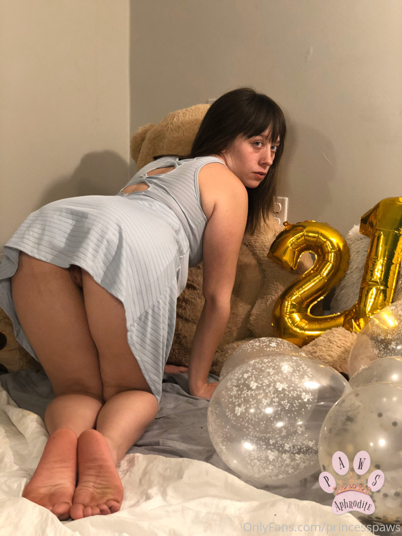Photo by aphroditepaws published on November 24,2023 03:06:51 - BestThots