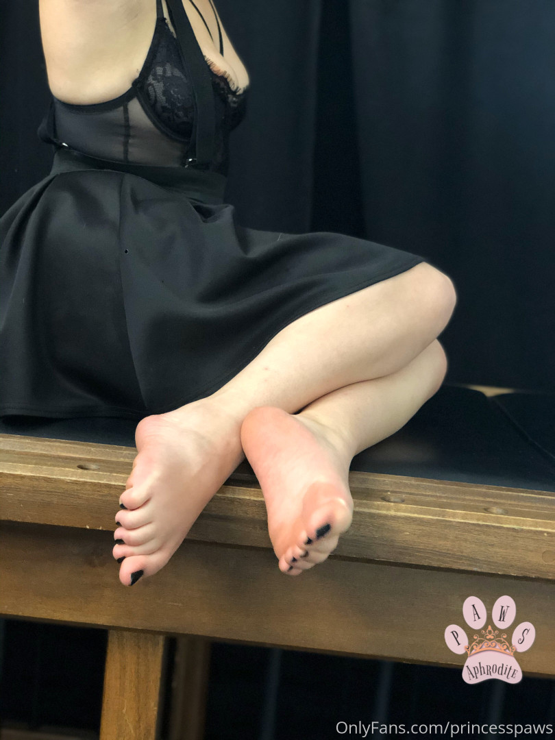 Photo by aphroditepaws published on November 24,2023 03:08:01 - BestThots