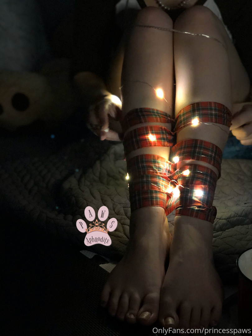 Photo by aphroditepaws published on November 24,2023 03:08:34 - BestThots