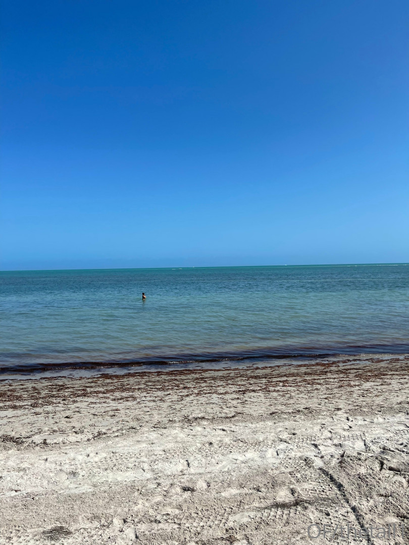 Photo by thetall1 published on May 16,2023 20:08:58 - BestThots