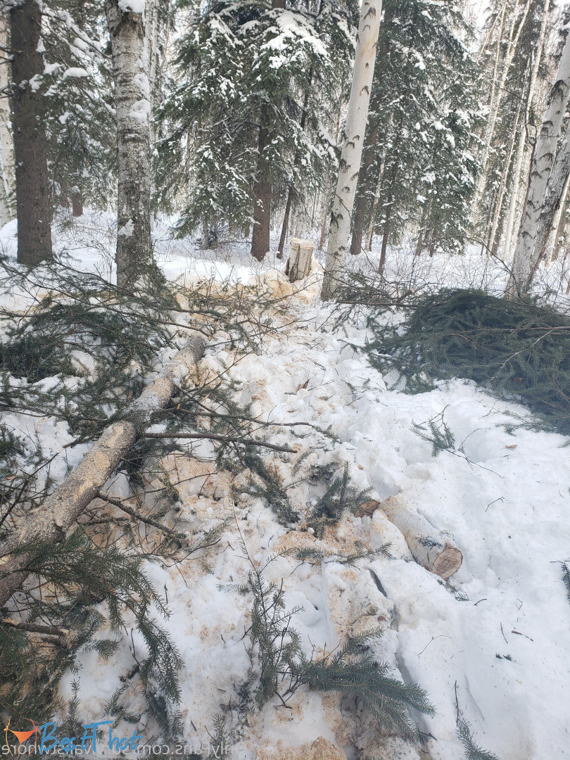 Photo by mattieyukonofalaska published on December 31,2024 05:18:53 - BestThots