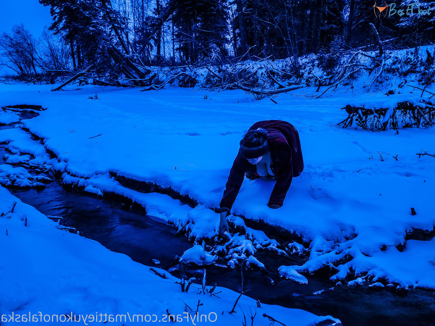 Photo by mattieyukonofalaska published on December 31,2024 05:20:45 - BestThots
