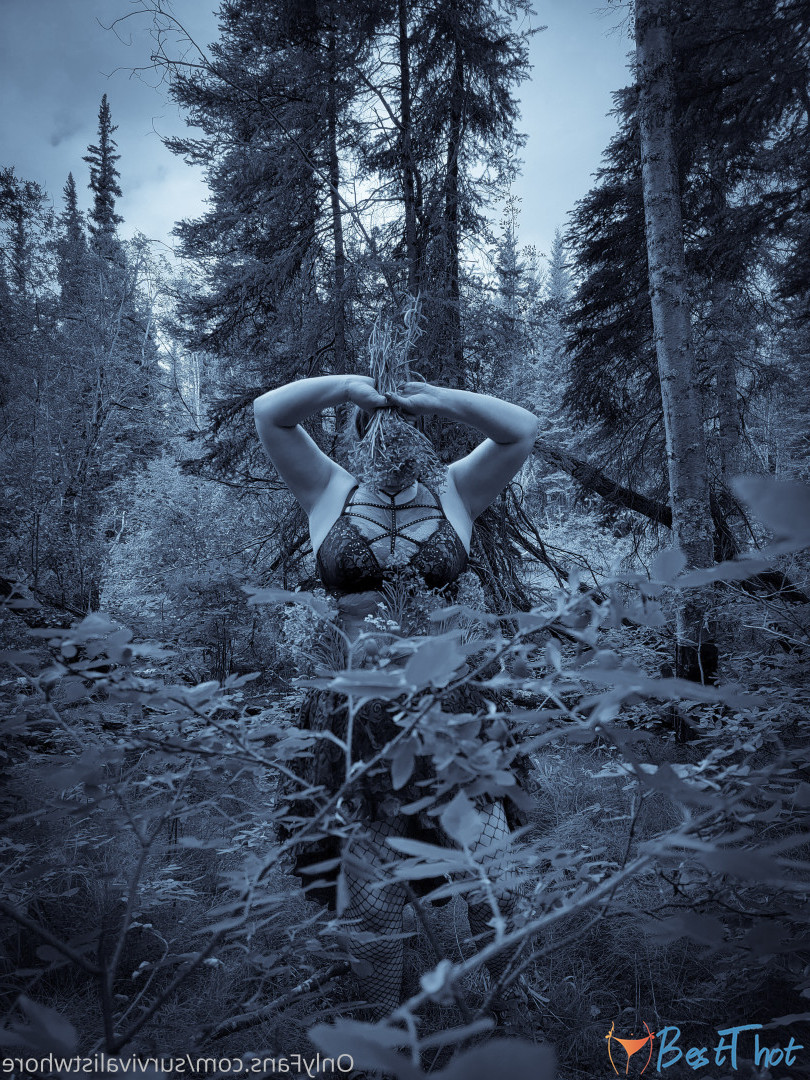 Photo by mattieyukonofalaska published on December 31,2024 06:17:25 - BestThots