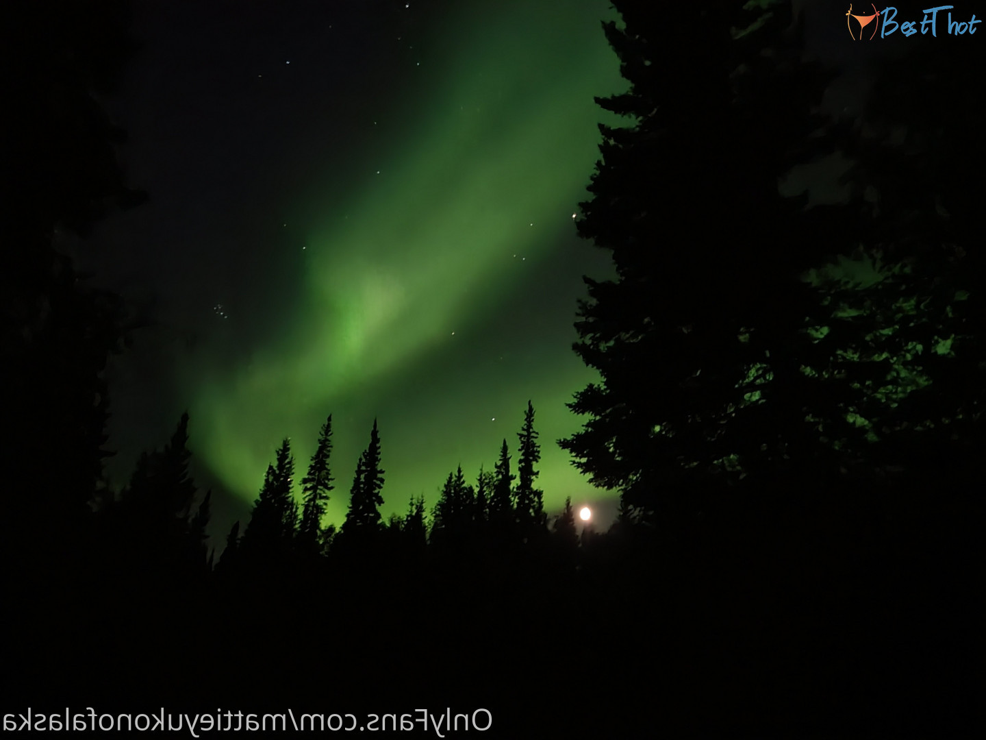 Photo by mattieyukonofalaska published on December 31,2024 07:15:27 - BestThots