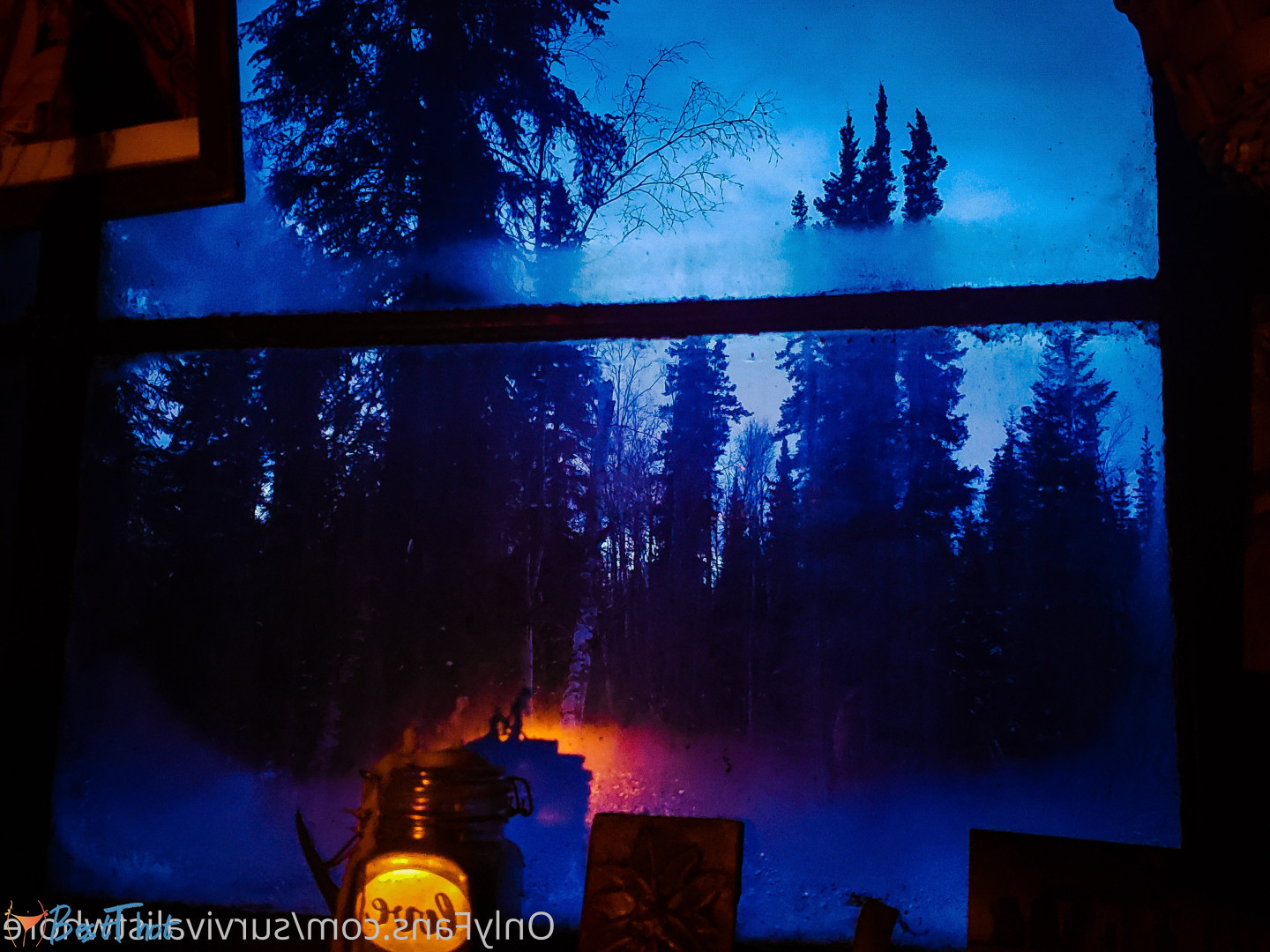 Photo by mattieyukonofalaska published on December 31,2024 09:16:51 - BestThots