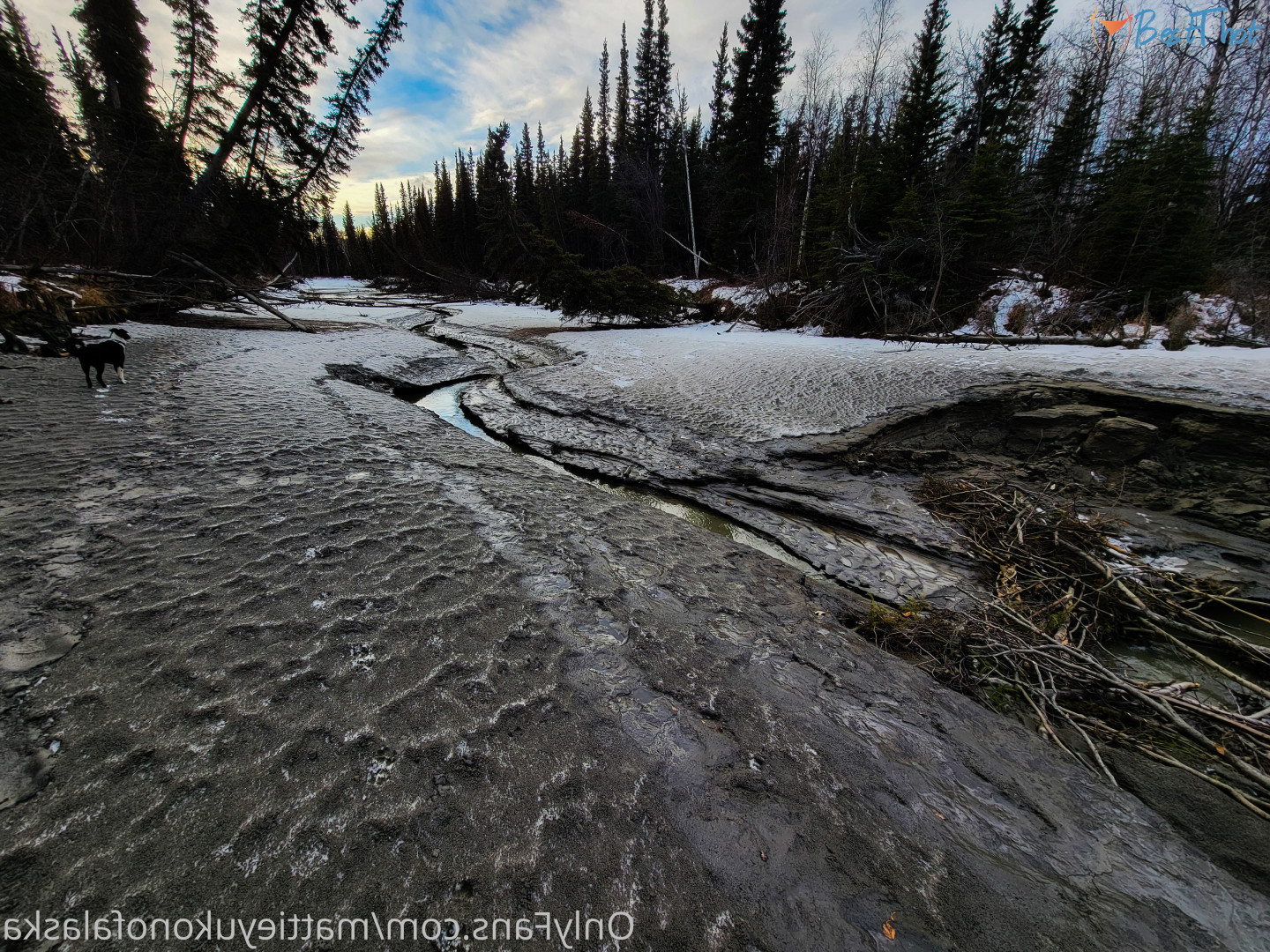 Photo by mattieyukonofalaska published on December 31,2024 09:18:52 - BestThots