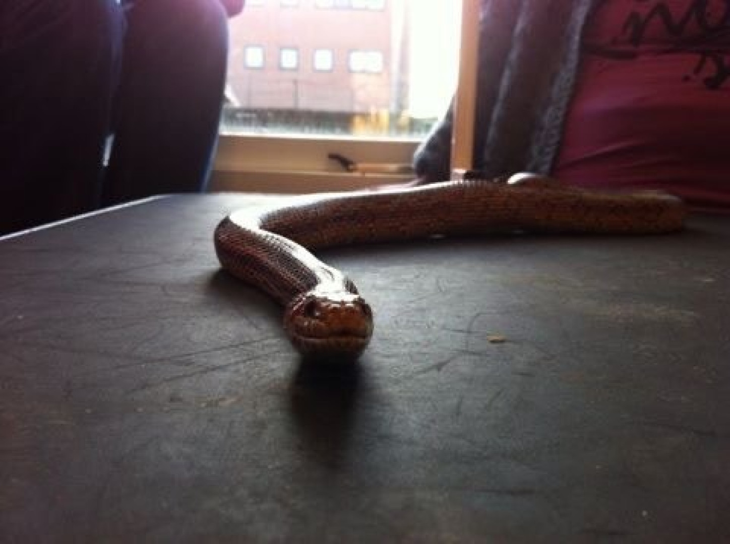 Photo by siswet19 published on October 16,2023 15:48:18 - BestThots