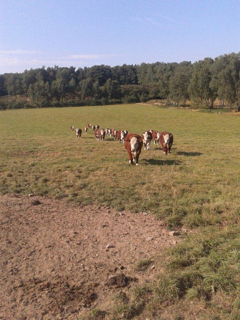 Photo by siswet19 published on October 16,2023 15:55:02 - BestThots