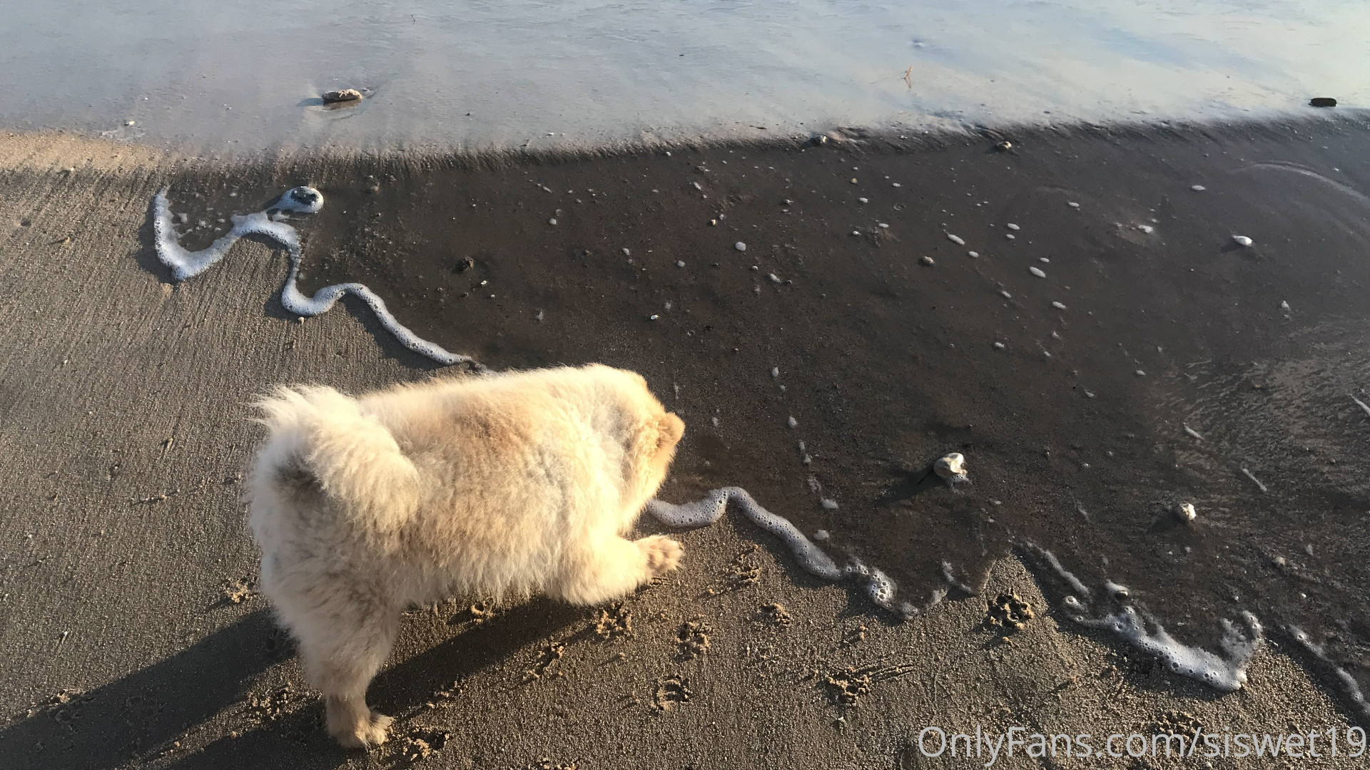 Photo by siswet19 published on October 16,2023 15:56:19 - BestThots