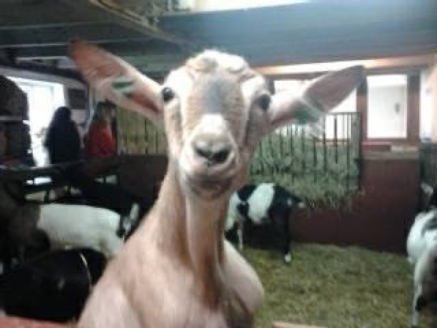 Photo by siswet19 published on October 16,2023 16:05:15 - BestThots