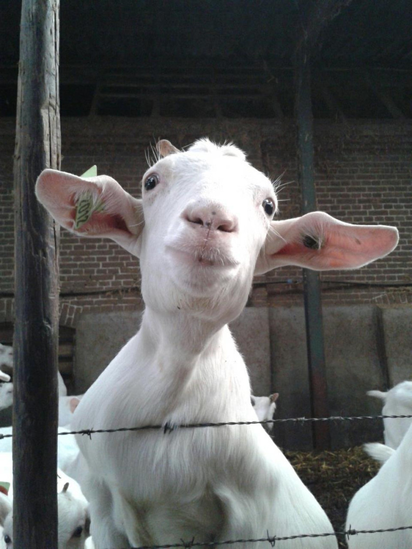 Photo by siswet19 published on October 16,2023 16:06:35 - BestThots