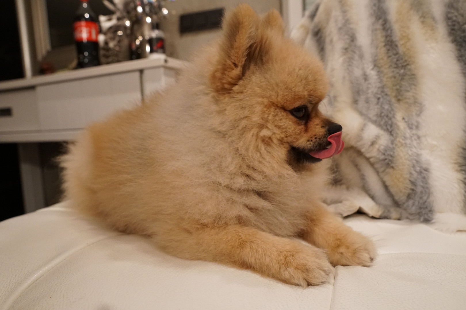 Photo by siswet19 published on October 16,2023 16:11:46 - BestThots