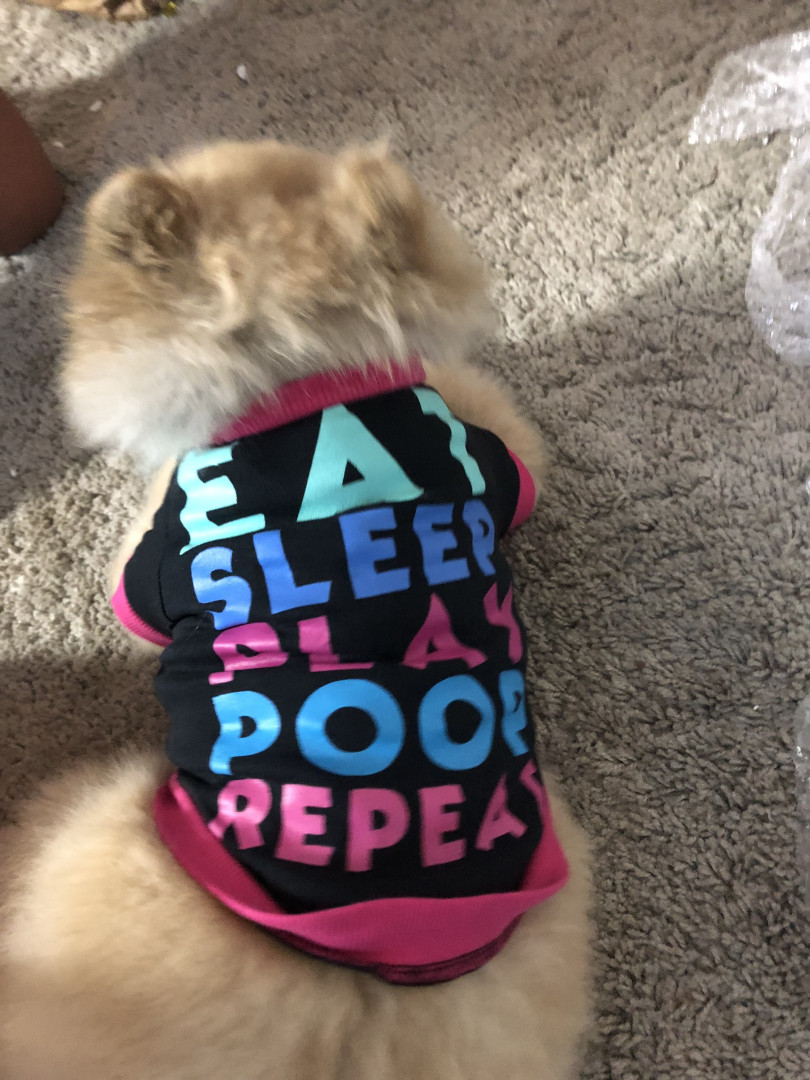 Photo by siswet19 published on October 16,2023 16:15:13 - BestThots