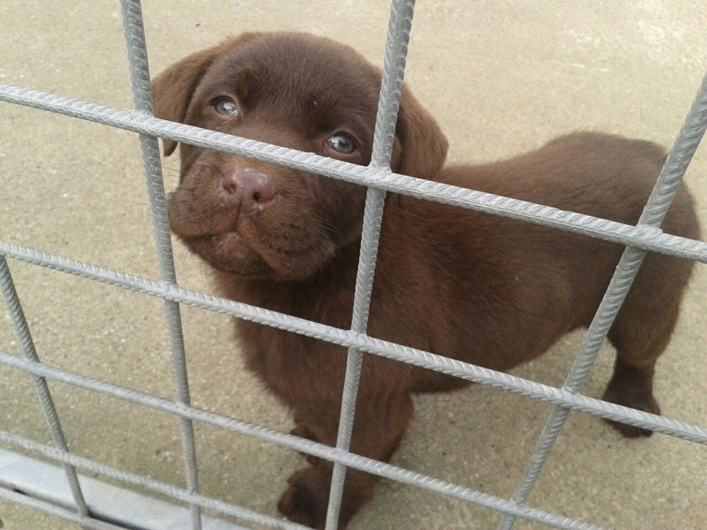 Photo by siswet19 published on October 16,2023 16:16:40 - BestThots