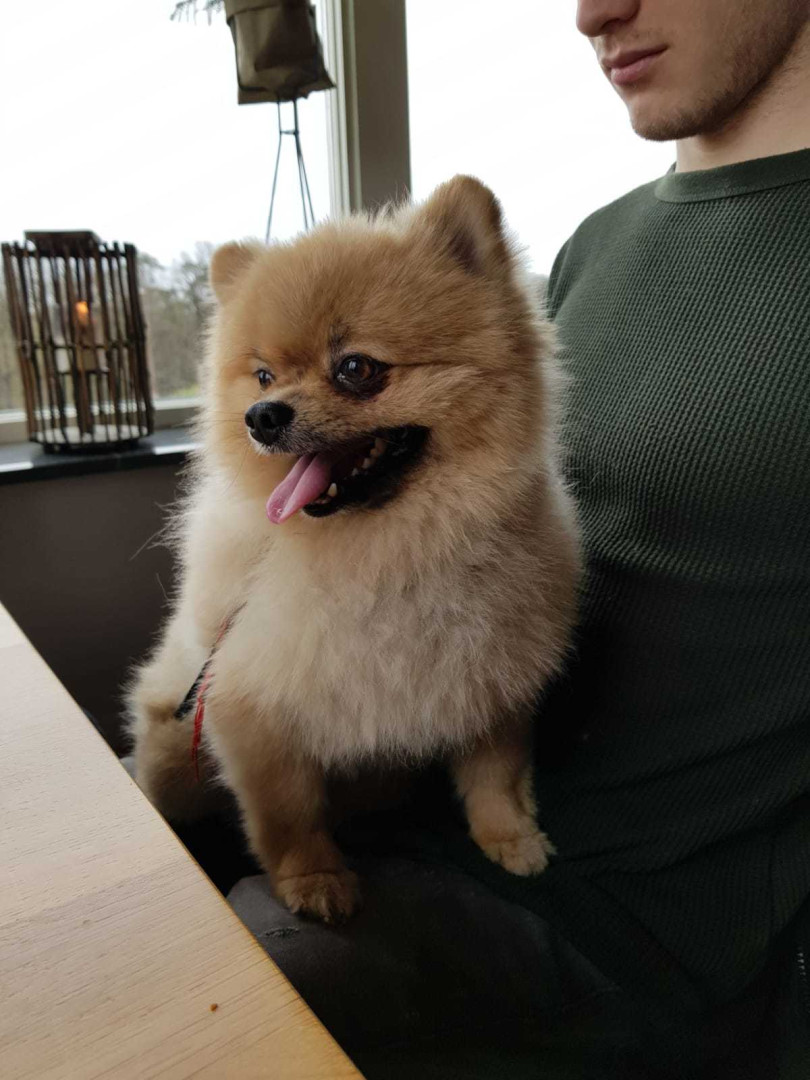 Photo by siswet19 published on October 16,2023 16:26:02 - BestThots