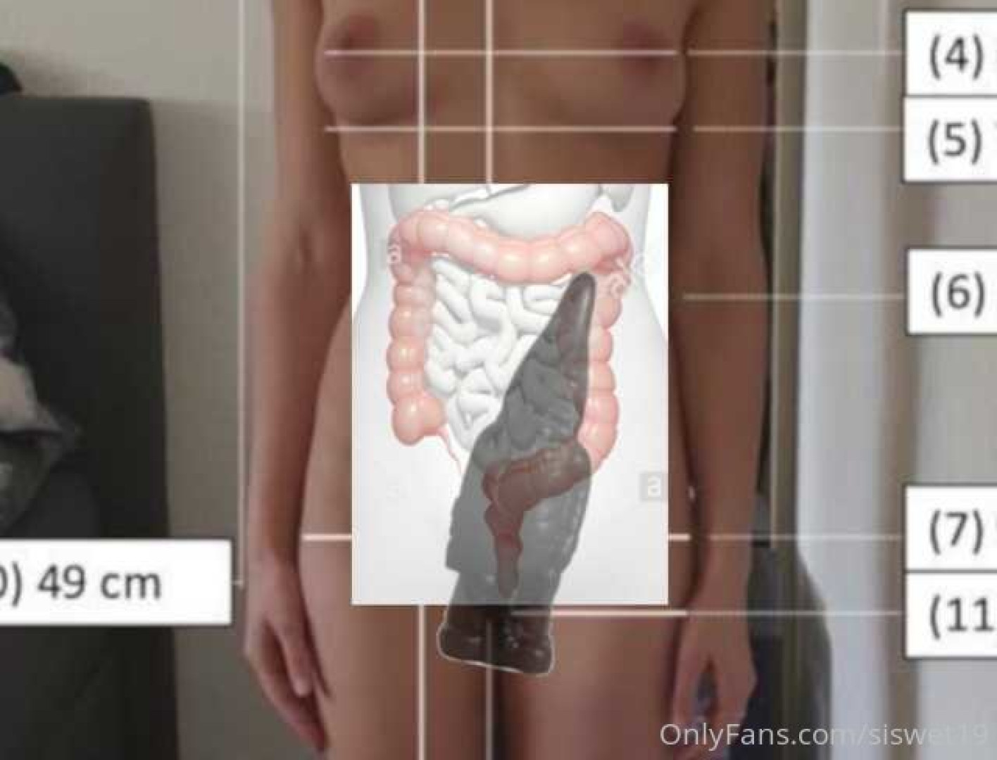 Photo by siswet19 published on October 16,2023 16:27:11 - BestThots