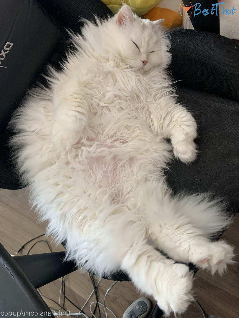 Photo by quqco published on December 12,2024 10:05:09 - BestThots