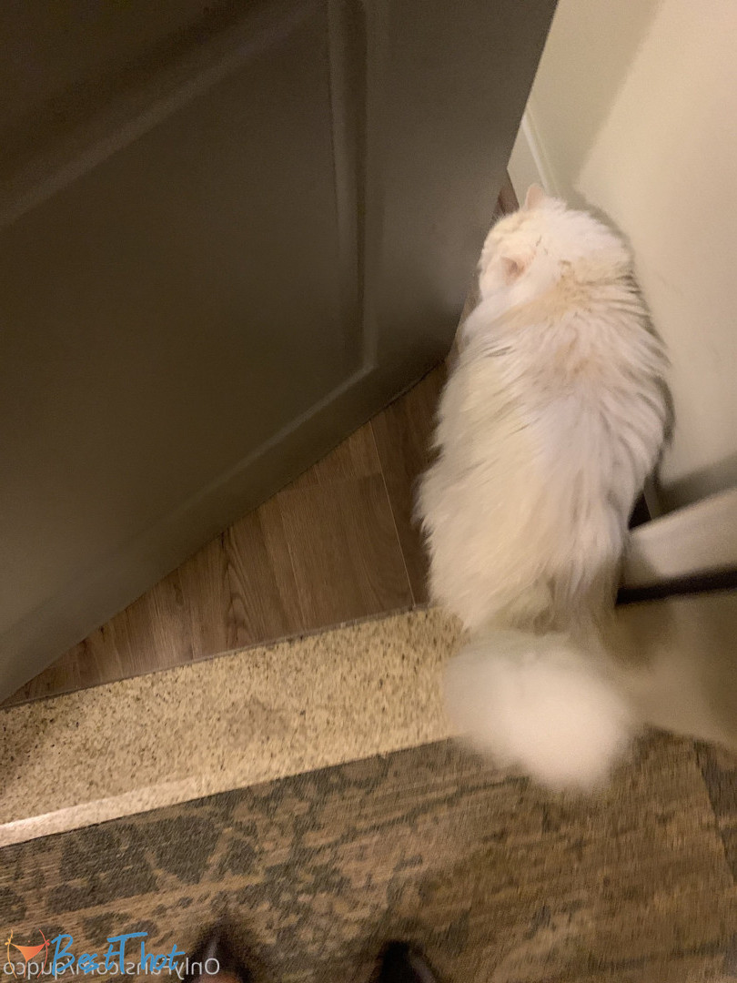 Photo by quqco published on December 12,2024 10:05:10 - BestThots