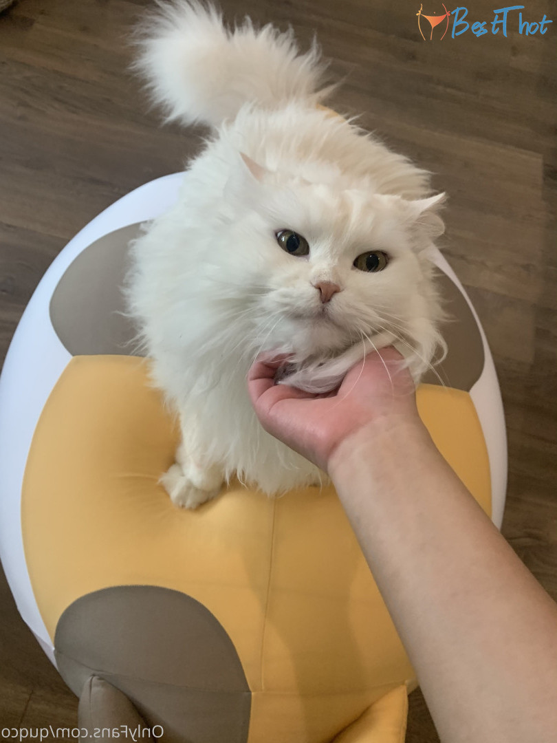 Photo by quqco published on December 12,2024 10:05:12 - BestThots