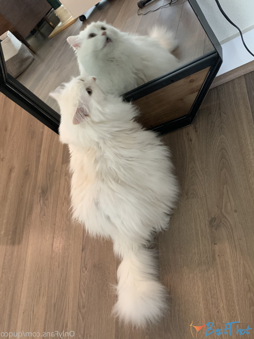 Photo by quqco published on December 12,2024 10:05:15 - BestThots