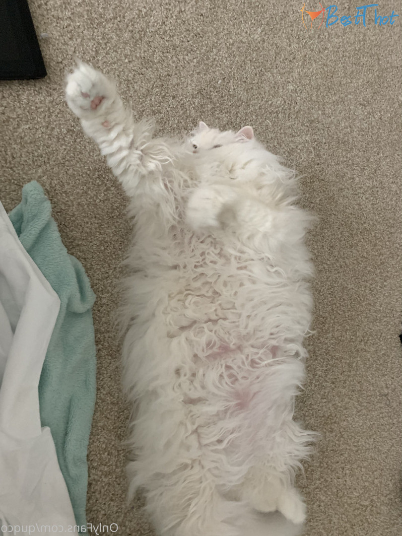 Photo by quqco published on December 12,2024 10:05:17 - BestThots