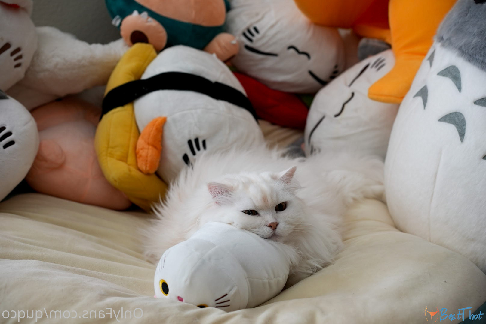 Photo by quqco published on December 12,2024 10:05:20 - BestThots