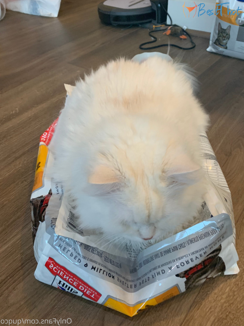 Photo by quqco published on December 12,2024 10:05:42 - BestThots