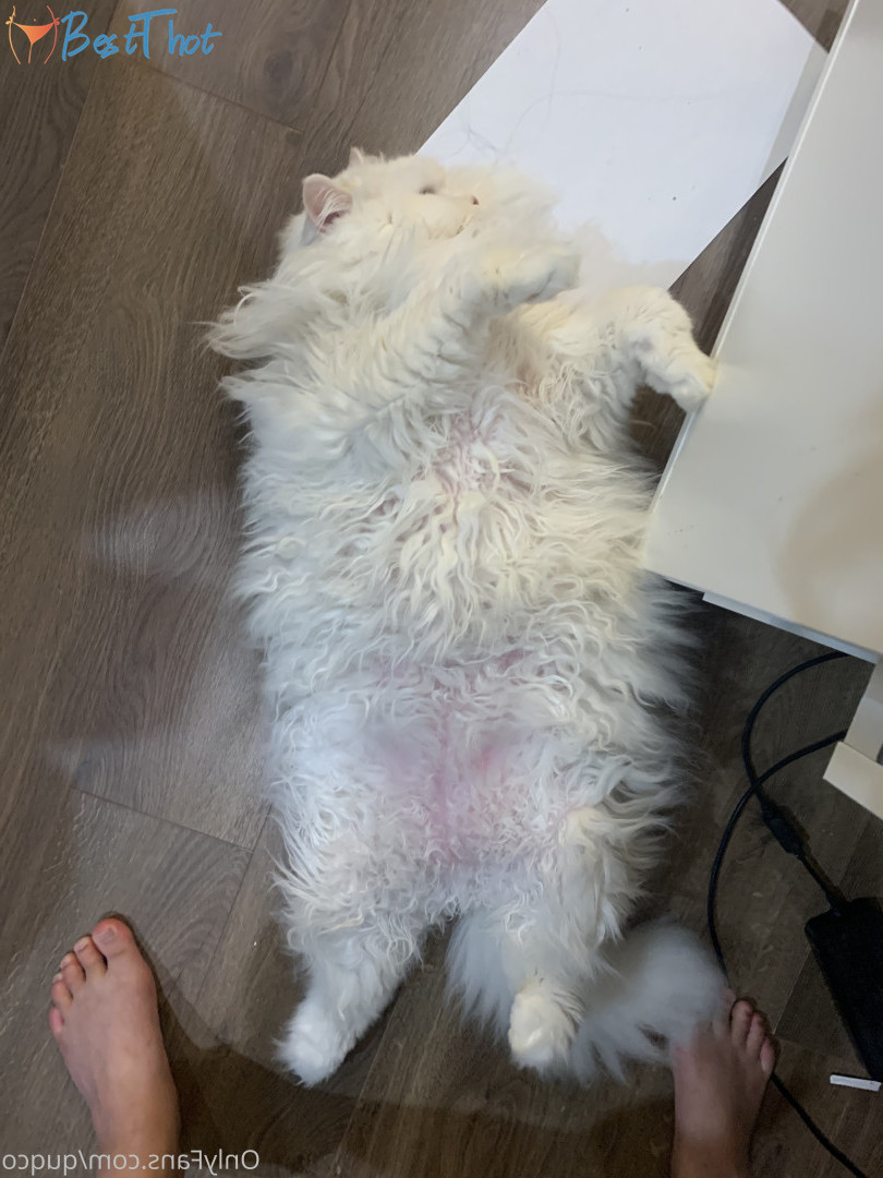 Photo by quqco published on December 12,2024 10:05:42 - BestThots