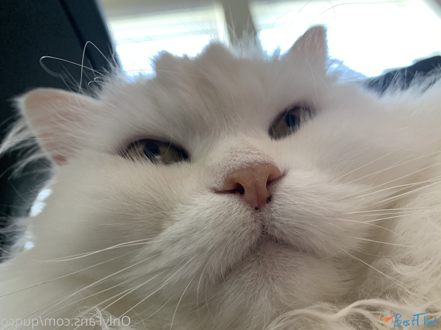 Photo by quqco published on December 12,2024 10:05:44 - BestThots