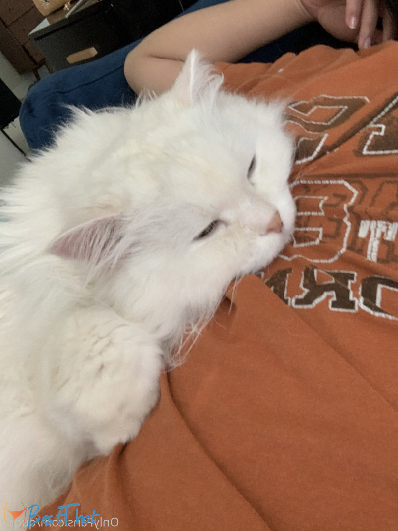 Photo by quqco published on December 12,2024 10:05:48 - BestThots