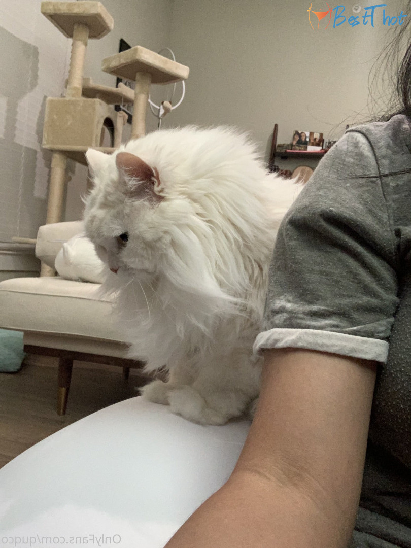 Photo by quqco published on December 12,2024 10:05:49 - BestThots