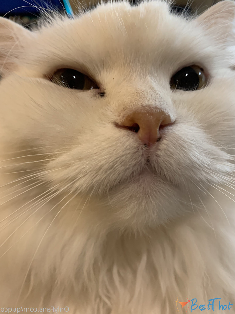 Photo by quqco published on December 12,2024 10:05:53 - BestThots