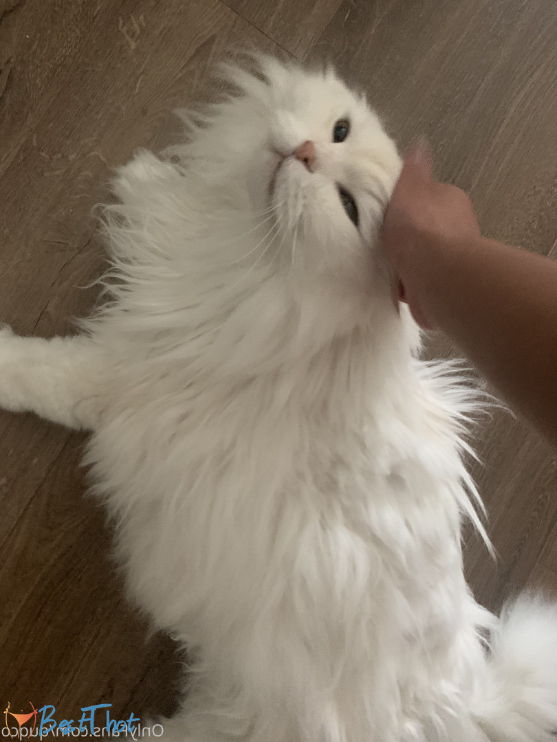 Photo by quqco published on December 12,2024 10:05:54 - BestThots