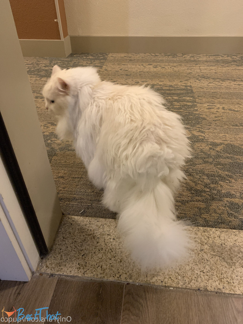 Photo by quqco published on December 12,2024 10:05:55 - BestThots