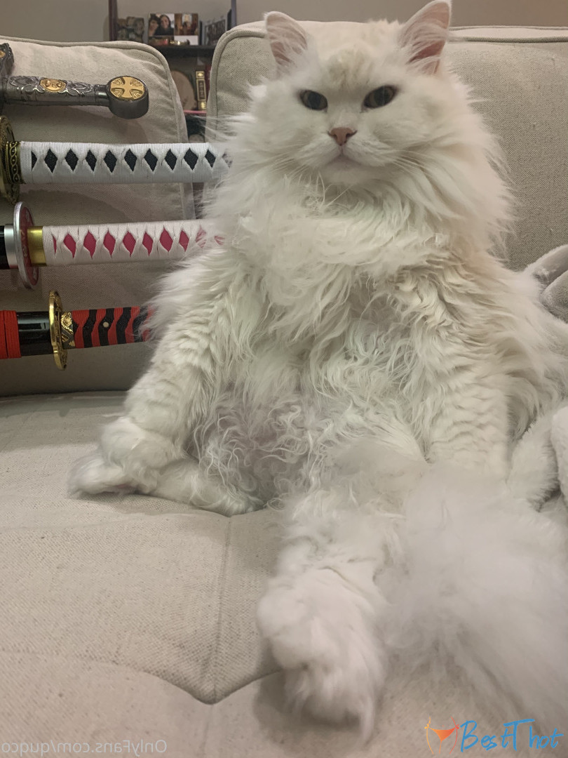 Photo by quqco published on December 12,2024 10:06:10 - BestThots