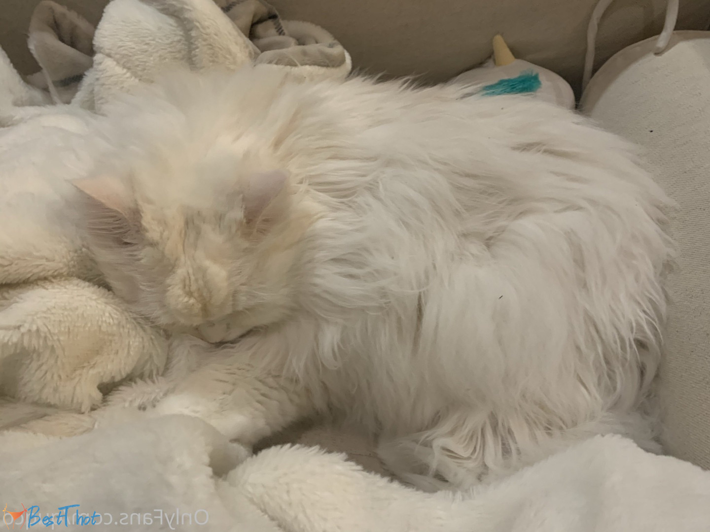 Photo by quqco published on December 12,2024 10:06:15 - BestThots