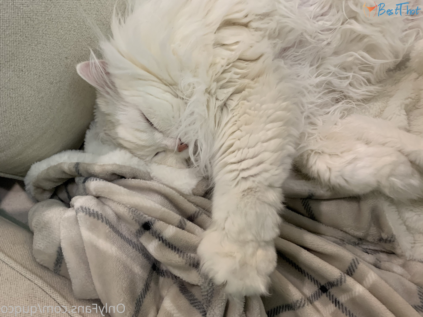 Photo by quqco published on December 12,2024 10:06:16 - BestThots