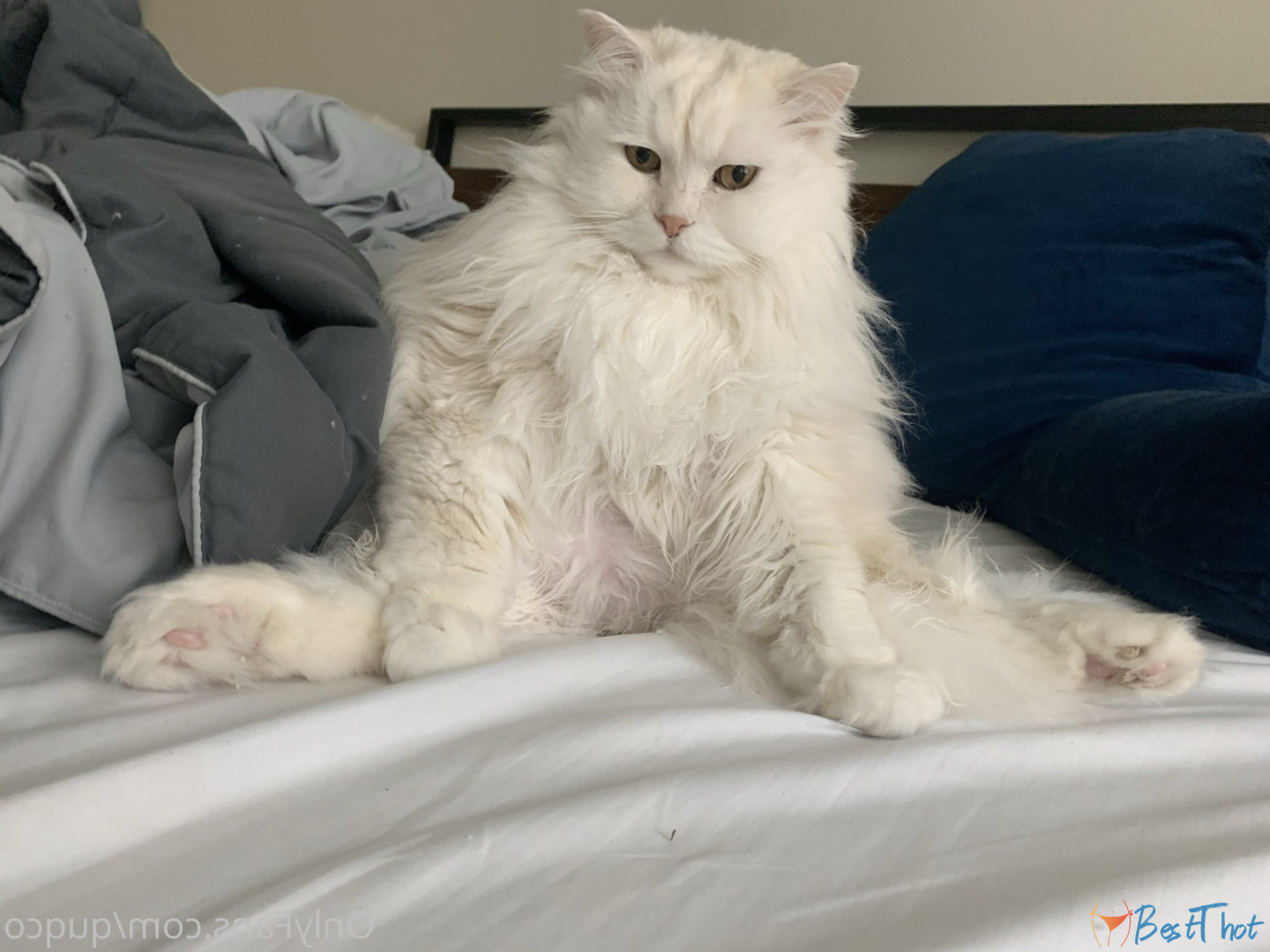 Photo by quqco published on December 12,2024 10:06:17 - BestThots