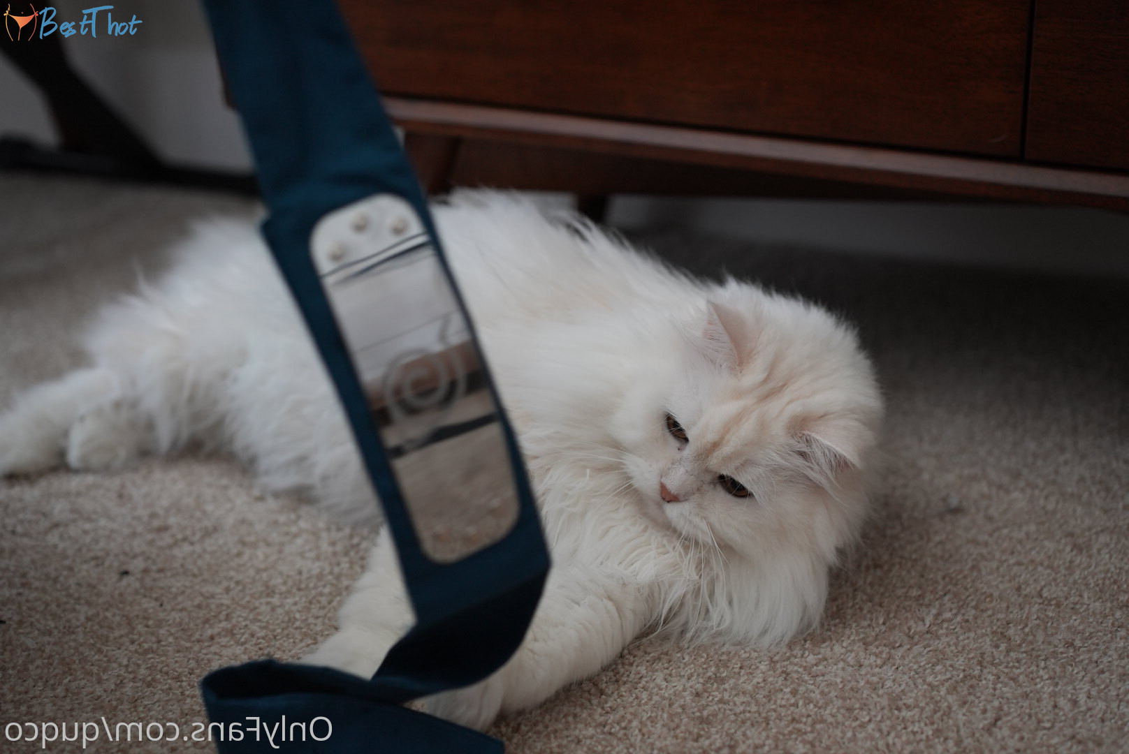 Photo by quqco published on December 12,2024 10:06:19 - BestThots