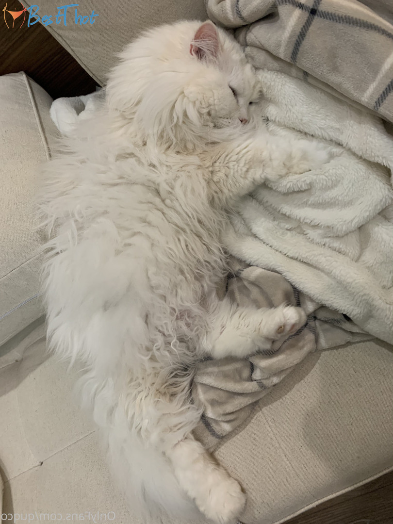 Photo by quqco published on December 12,2024 10:06:20 - BestThots