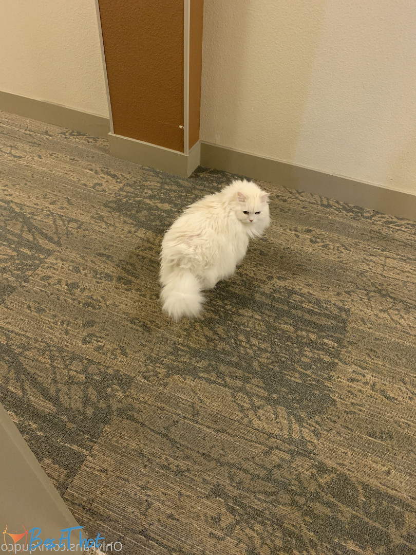 Photo by quqco published on December 12,2024 10:06:22 - BestThots