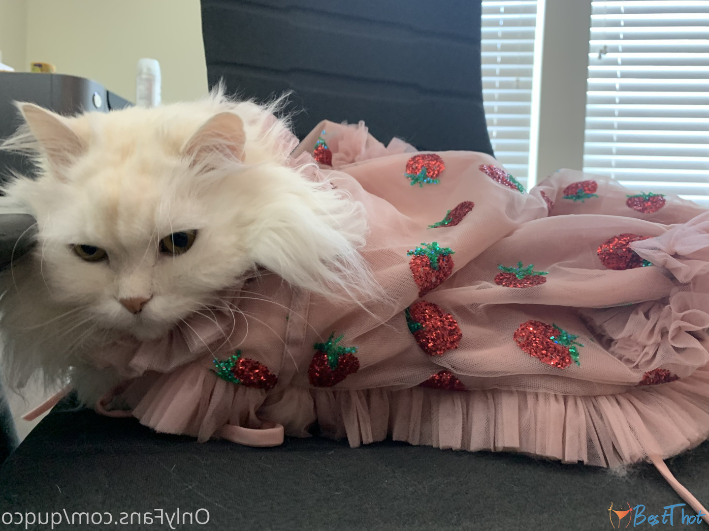 Photo by quqco published on December 12,2024 10:06:22 - BestThots