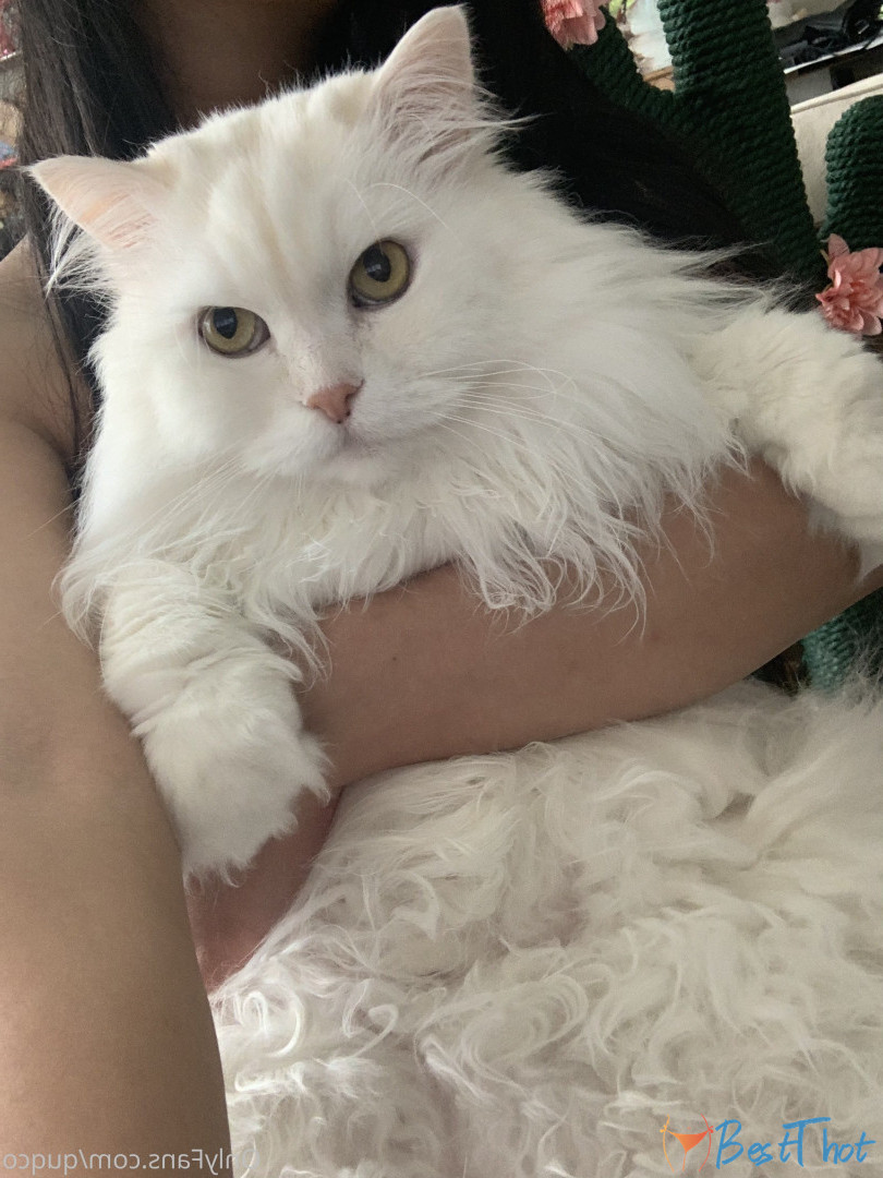 Photo by quqco published on December 12,2024 10:06:25 - BestThots