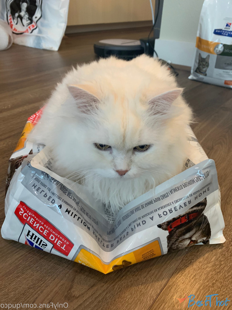 Photo by quqco published on December 12,2024 10:06:25 - BestThots