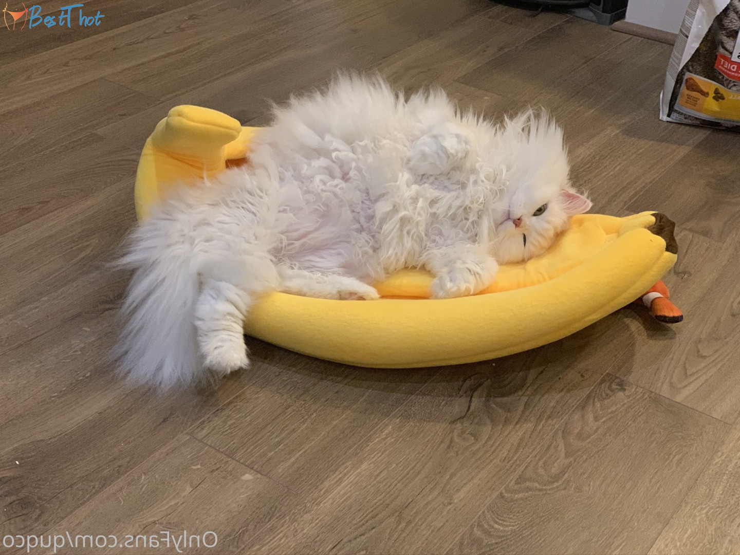 Photo by quqco published on December 12,2024 10:06:44 - BestThots